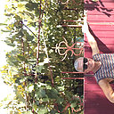 Вадим, 57 лет