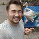 Александр, 31 год