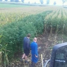 Фотография мужчины Ddd, 34 года из г. Краснодар