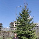 Петр, 41 год