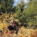 Сергей, 37 лет