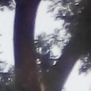 Александр, 42 года