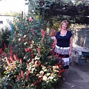 Алена, 66 лет