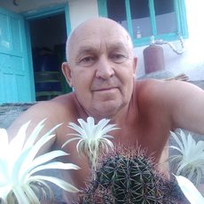 Фотография мужчины Володя, 71 год из г. Антрацит