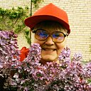 Бабуля, 68 лет