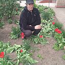 Упрямый Упрямец, 68 лет
